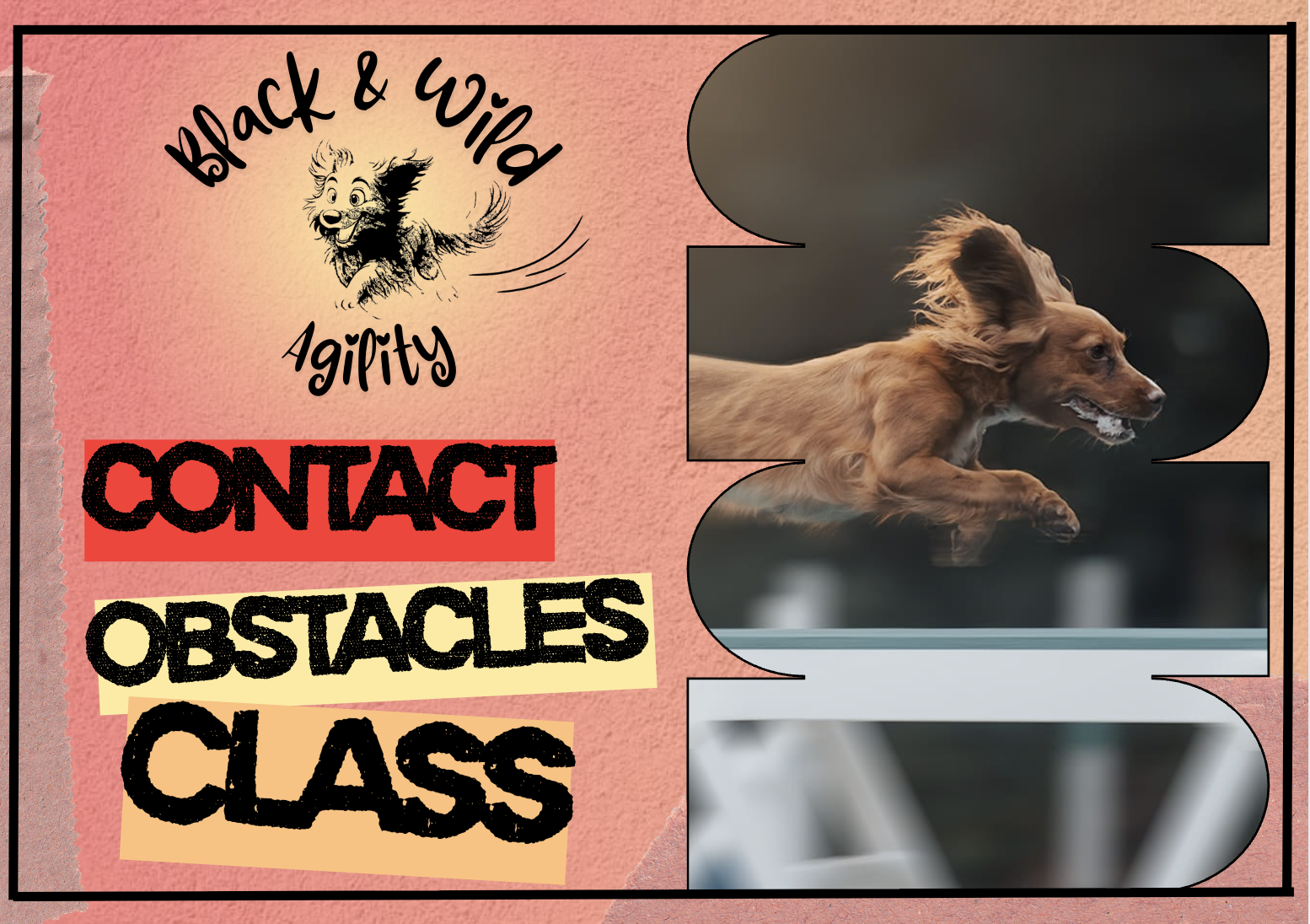 CONTACT OBSTACLES CLASS - sign up