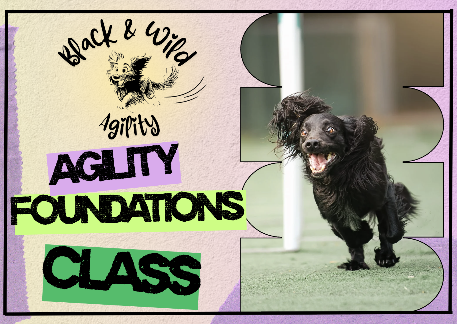 AGILITY FOUNDATIONS CLASS - sign up