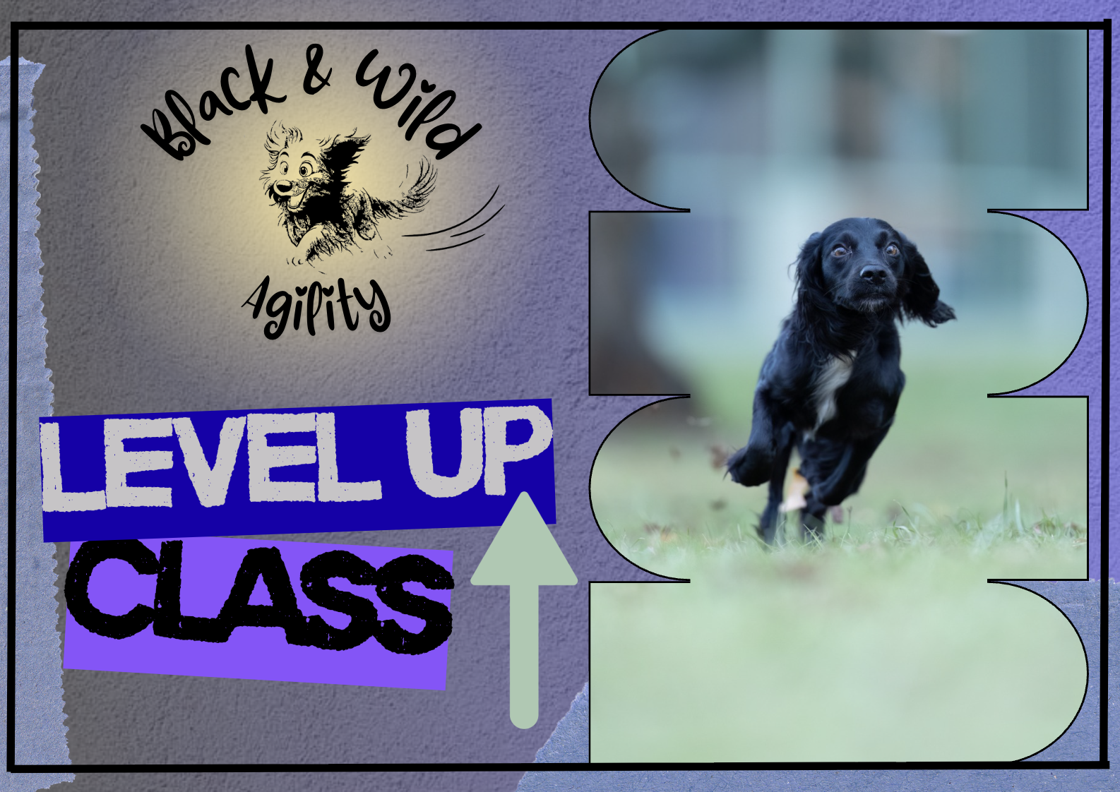 LEVEL UP CLASS - sign up