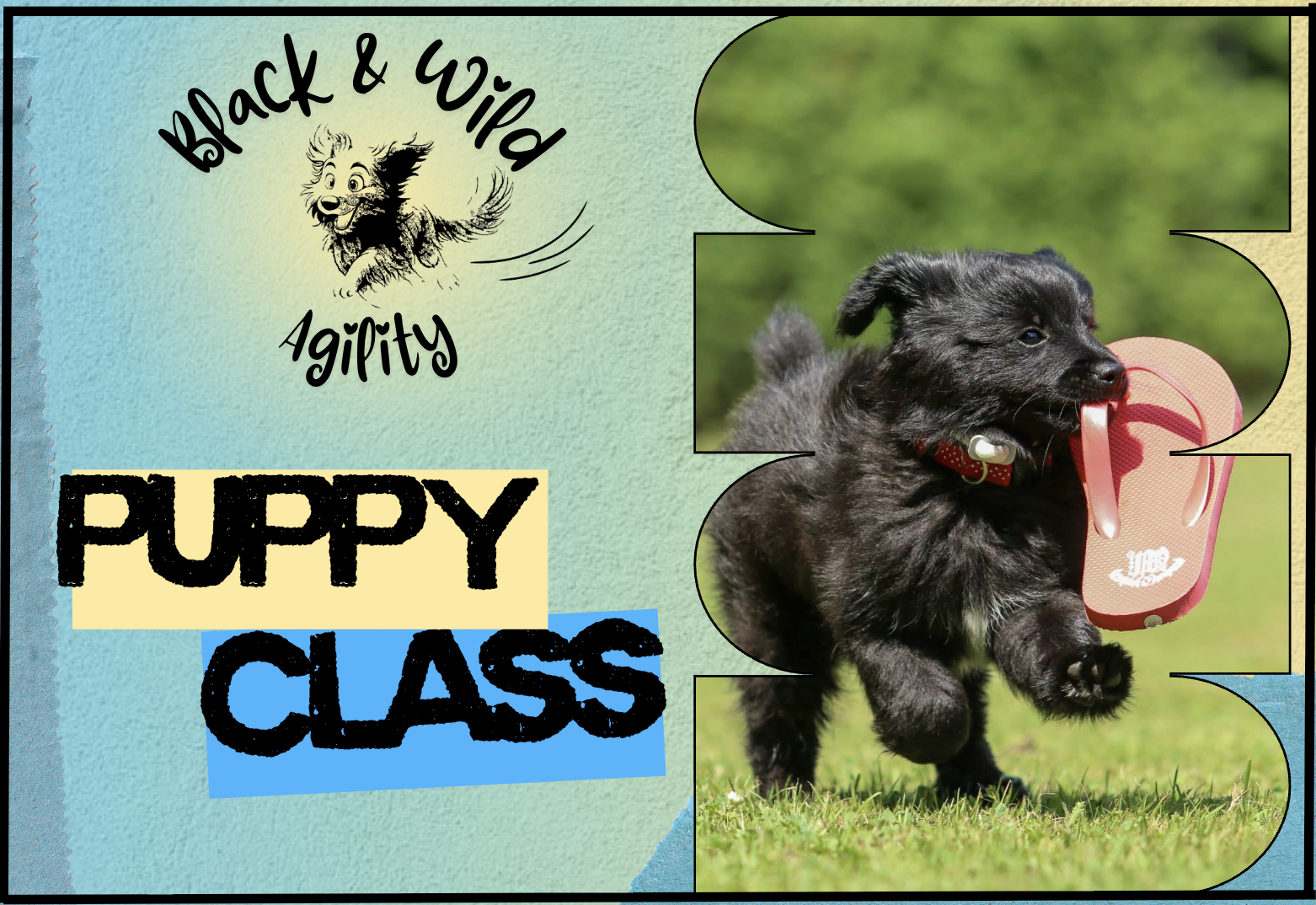 PUPPY CLASS - sign up